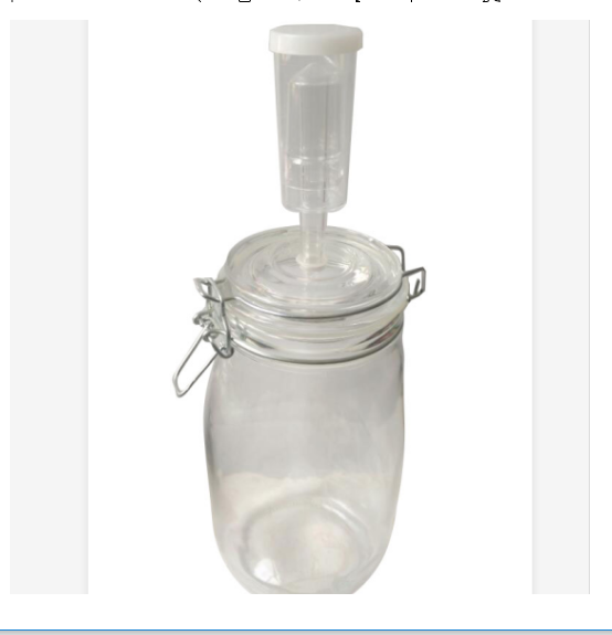 China producer wholesale fermentation glass jar with airlockCN 0878